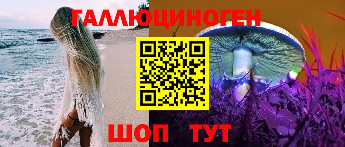 Псилоцибиновые грибы Psilocybine cubensis  Галлюциногенные грибы GOLDEN TEACHER  Вход с VPN  Крымск 