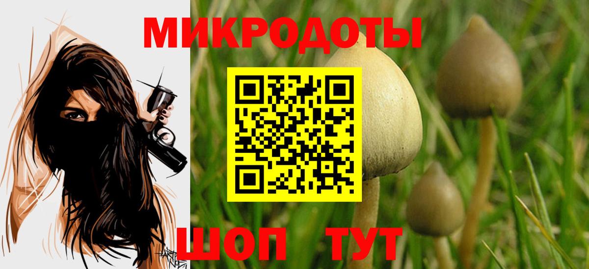 Псилоцибиновые грибы мухоморы Крымск